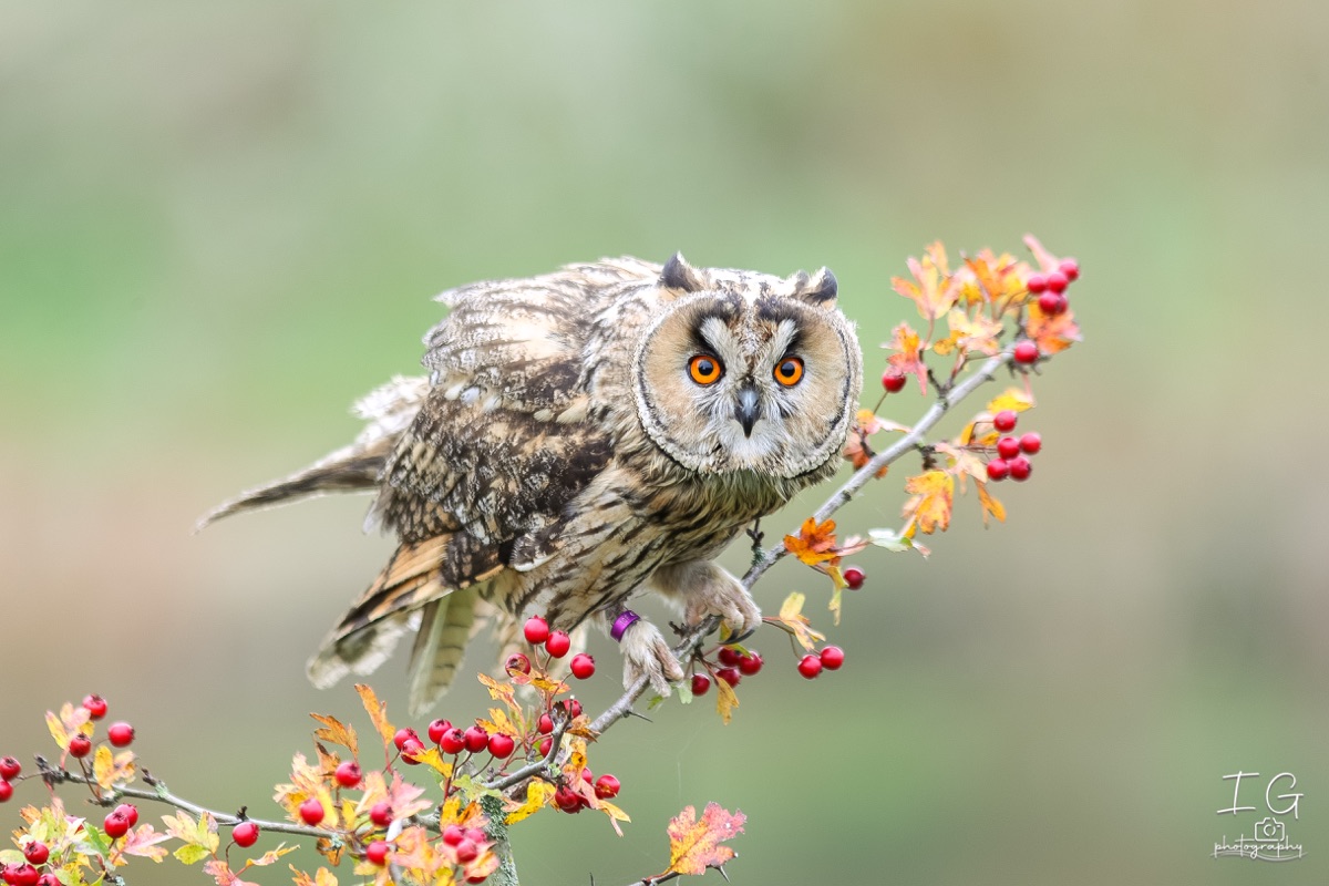 20211023 AK6I9986 insta